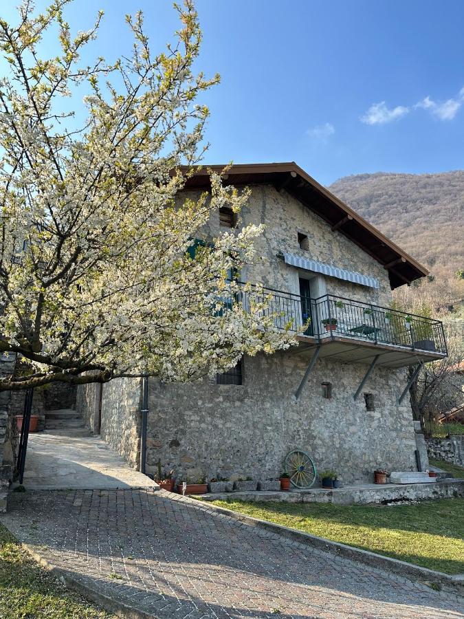 Greenlake House Tremezzina Tremezzo Ngoại thất bức ảnh